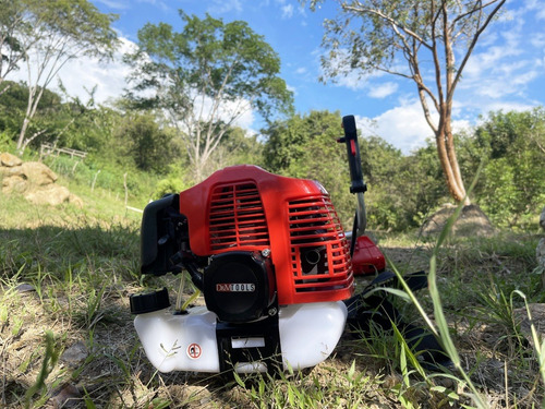 Imagen 3 de 9 de Guadañadora Ranger Profesional 7000 Rpm 1.25 Kw