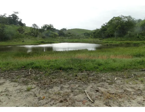 Sítio De 49,7 Hectares Registro - Sp
