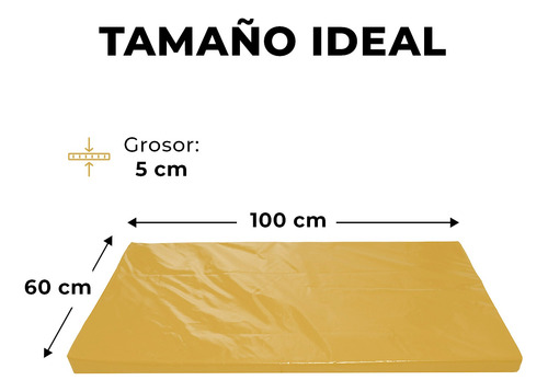 Colchoneta Gimnasio, Estiramientos Y Estimulación 100x60x5