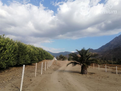 Parcela En Venta En Hijuelas