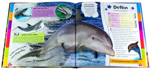Pequeño Explorador: Conoce a los Animales.: Libro Infantil Pequeño Explorador : Conoce a los animales, de Juan García. Editorial Silver Dolphin (en español), tapa dura en español, 2022