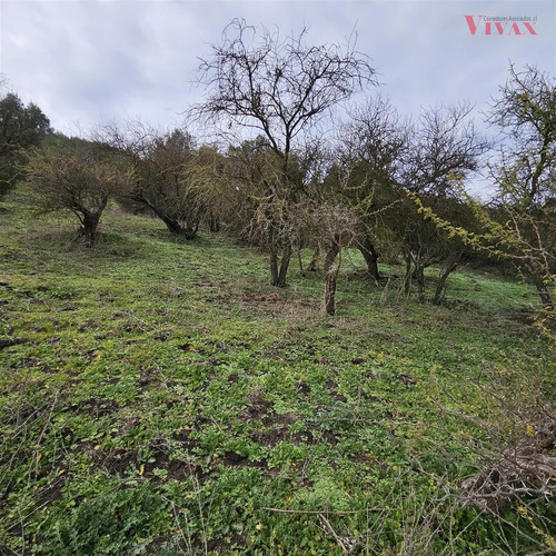 Parcela En Venta En Curicó