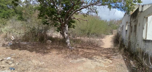 Imagen 3 de 9 de Terreno En Sector El Tuey, San Juan Bautista, Municipio Díaz