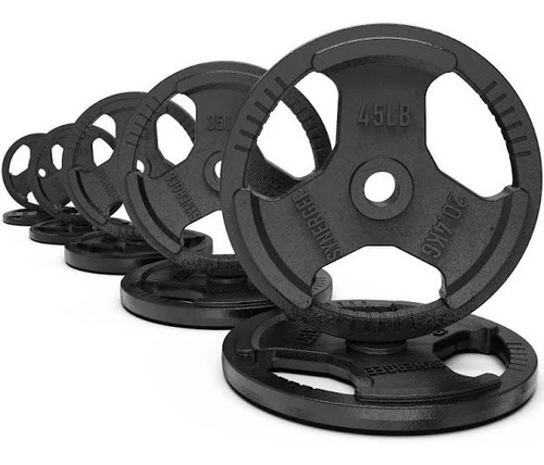 Synergee 1 Inch Cast Iron Weight Plates, 240lb - Set