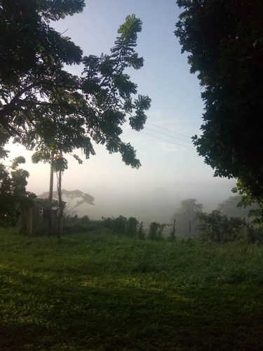 Imagen 8 de 28 de Finca En Venta En El Estado Guarico