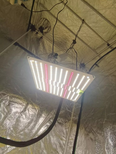 Led Grow Quantum Board 65w/650w Samsung Lm283b + Dpred 660nm Amarelo