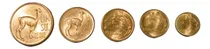 Comprar 5 Monedas De La Colección De La Vicuña - Moneda Sol De Oro