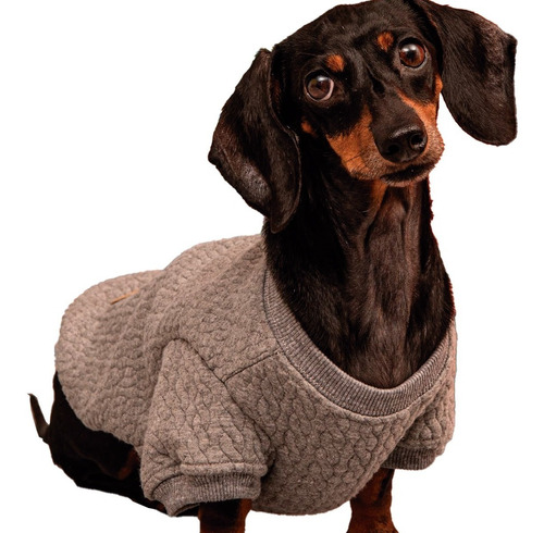 Imagen 5 de 8 de Abrigo Tipo Buzo Para Perros - Estampado