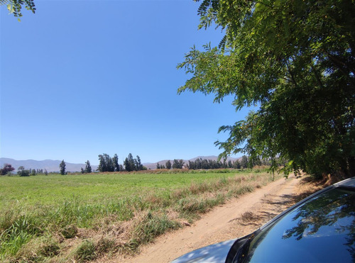 Terrenos Agrícolas Con Agua Venta María Pinto Curacavi