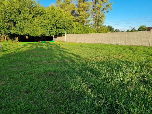 Imagen 3 de 4 de Terreno - Pacheco Norte