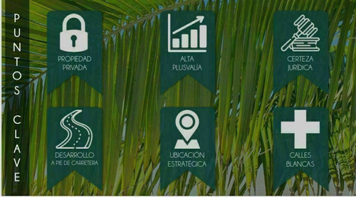 Imagen 7 de 11 de Preventa Lotes Campestre, Destino Otoch En Tetiz, Yucatán C