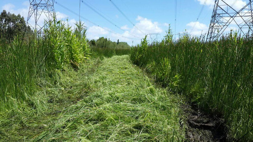 Imagen 2 de 6 de Limpieza De Terrenos, Limpieza De Campos, Maquinaria