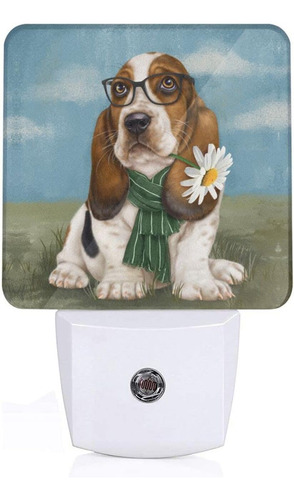 Basset Hound - Luz Nocturna Para Perro Con Luz Nocturna Led