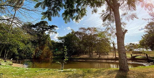 Imagem 8 de 10 de Lançamento Champs Elysees Condomínio Fechado Lotes 400m2, Lago, Quadras Volei, Futebol, Tenis, Área Verde, Pagamento Amplamente Facilitado - Te00102 - 69200018
