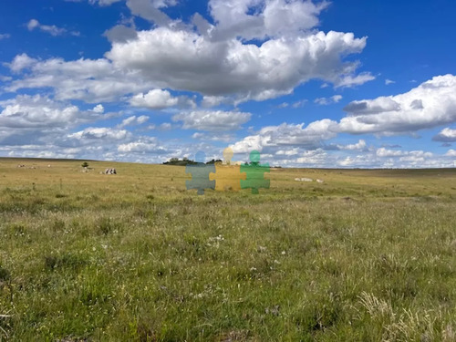 Campo En Durazno, 687 Hectáreas En Venta - Ref : Eqp6831