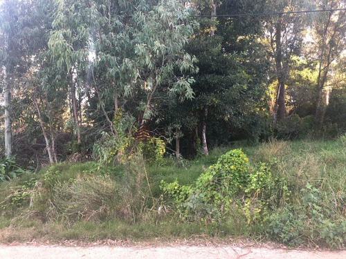 Imagen 5 de 7 de Oportunidad Terreno La Barra - La Barra El Tesoro