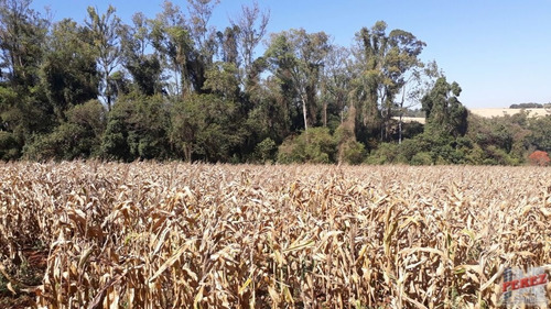 Imagem 4 de 30 de Chácaras_sítios_fazendas Para Venda - 13650.3266