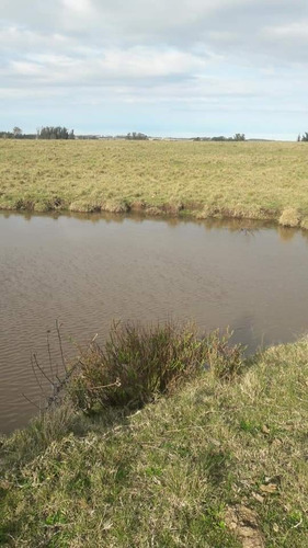 Chacra De 7 Has 2135 M2 Puntas De José Ignacio