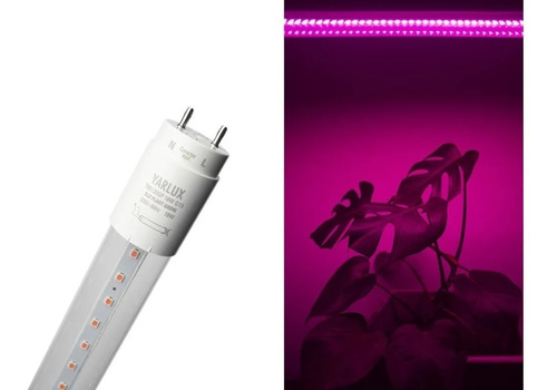 Tubo De Led Grow Full Spectrum Indoor + Listón Simple 1x18 