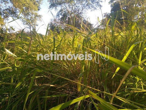 Imagem 13 de 25 de Venda Chácara Zona Rural São Sebastião - 807249