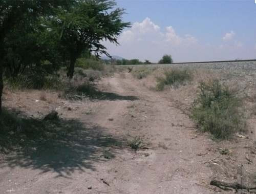 Imagen 4 de 13 de Macrolote En Venta Para Desarrolladores En Tequisquiapan, Querétaro.