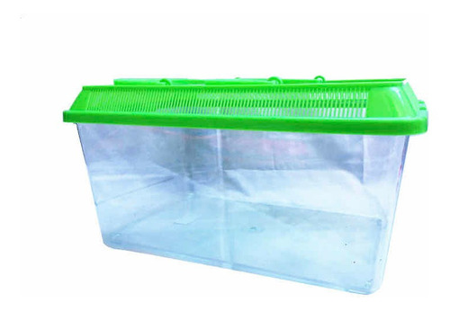 Breeding Box Grande, Caja De Cria Arañas Anfibios