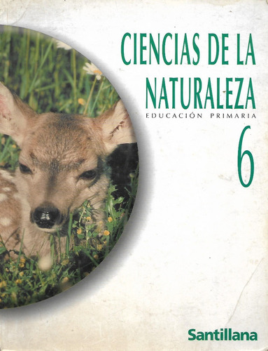 Ciencias De La Naturaleza 6- Primaria - Santillana