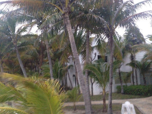 Terreno En Venta En La Riviera Maya