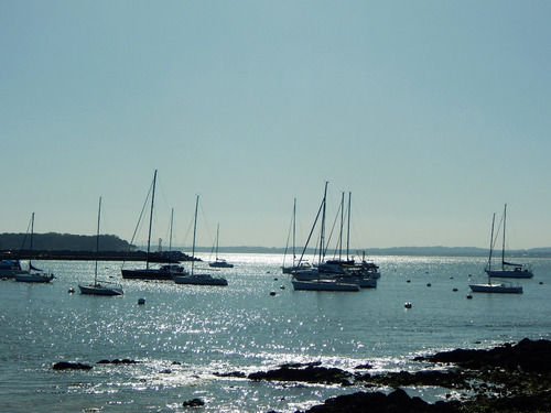 Imagen 15 de 15 de Funcional Y Acogedor Apartamento En La Península, 1 Dorm 3 Pers. A 150 Mts. Del Puerto De Punta Del Este, 2 Cuadras De Gorlero, 10 Min De La Terminal De Buses.