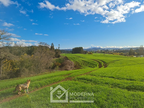 Campo 78 Ha En Traiguén Entre Rios