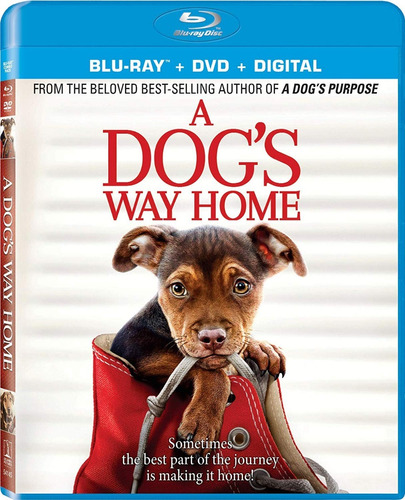 Blu Ray A Dogs Way Home Original Dvd Estreno