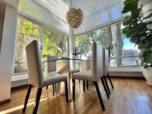 Imagen 4 de 30 de Maravilloso Penthouse Con Gran Jardin Propio En Terraza, En Martinez