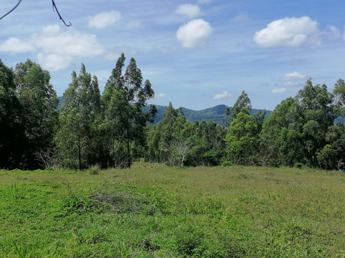 Te Vendo Hermosa Finca,en Cupey/puerto Plata.