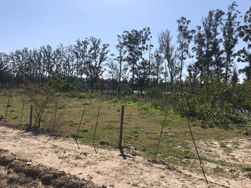 Imagen 8 de 8 de Terreno - Lote - Venta - Benavidez - Villanueva - Nordelta