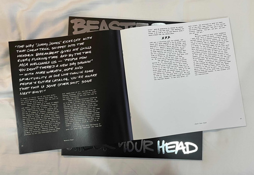 Beastie Boys Check Your Head Vinil Importado Vmp