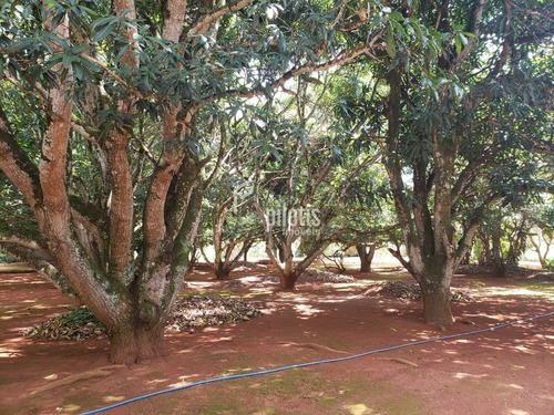 Imagem 6 de 6 de Terreno - Outros - Ref: 837 - V-p1033