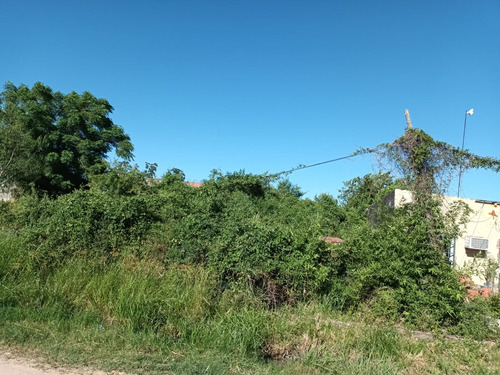 Venta De Terreno Barrio Jardin