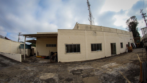 Imagem 28 de 28 de Galpao - Gl00001 - 69828215