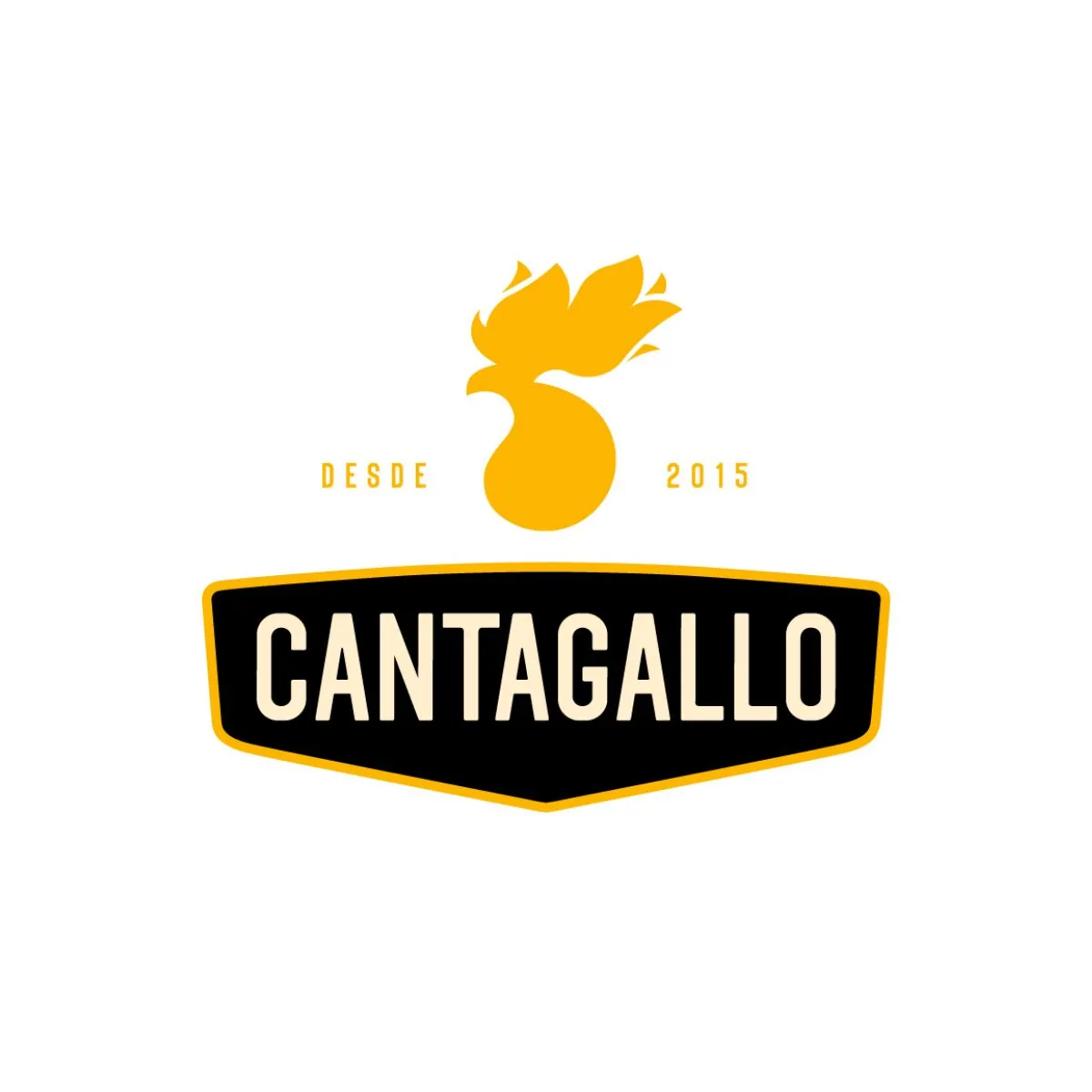 CANTA GALLO