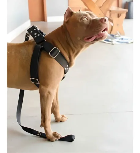 Coleira Peitoral Cachorro Guia Adaptador Doberman Pit Bull Cor Pr...