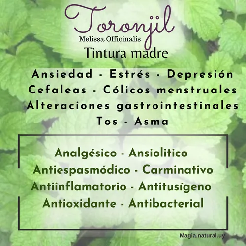 Tintura Madre De Ortiga.30ml. Magia Natural.
