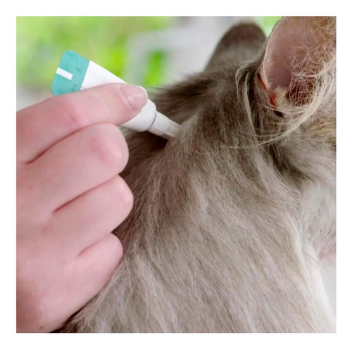 Msd Bravecto Plus Gatos Transdermal 2,8 A 6,25kg 250mg Branco