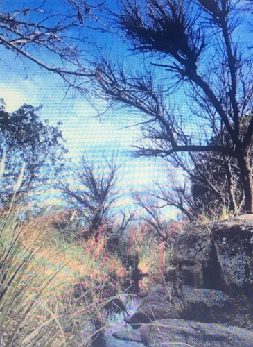 Imagen 9 de 22 de Campo En Río Hondo Mina Clavero