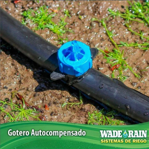 100 Pza | Gotero Boton Pc Desarmable 2, 4, 8, 16 Lph