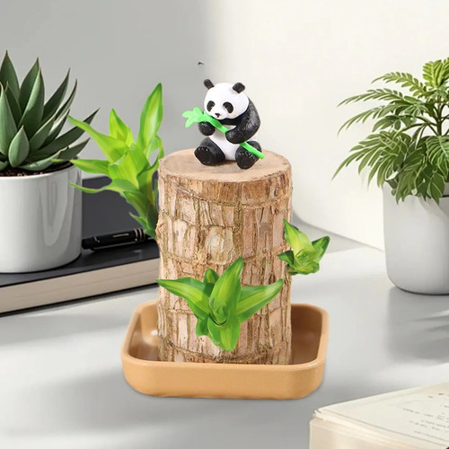 Para Madera De La Suerte Brasileña Con Panda | Set De