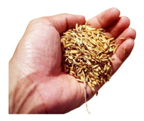 Sustrato Cascarilla De Arroz 10 Lt Huerto Mejora Nutre