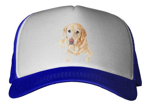 Gorra Perro Labrador Rubio Pintura