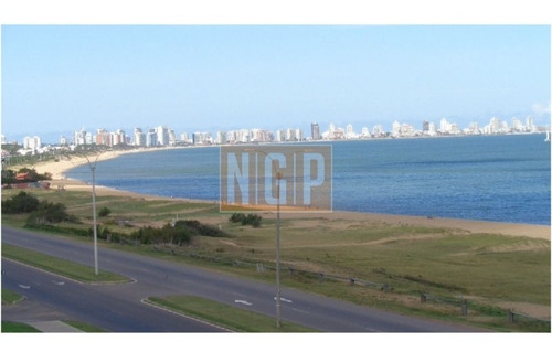 Apartamento En Mansa, 2 Dormitorios -ref:10234