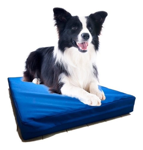 Colchon Antidesgarro Impermeable C/ Funda Lyon Pet 90x60