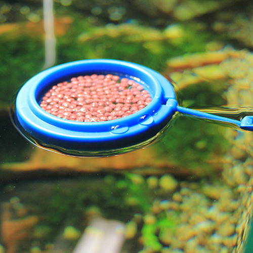 Anillo Alimentación Peces Práctico Anillo Flotante Par